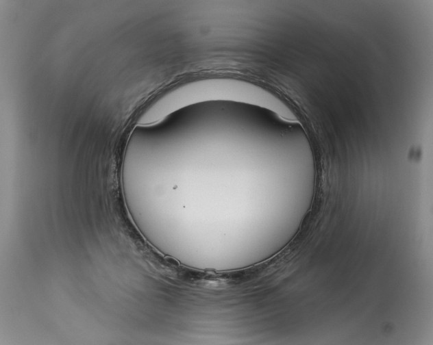 X0000114020411200910231841