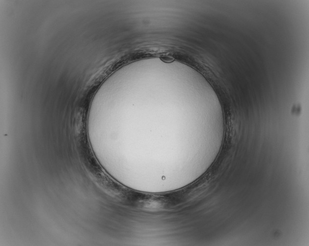 X0000114020412200910231841