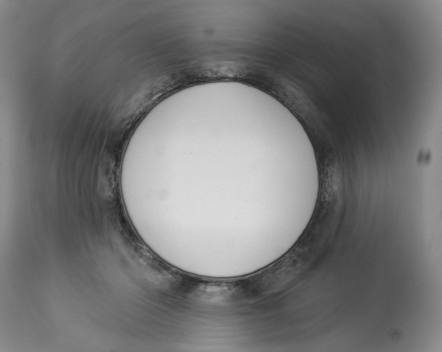 X0000114020414200910231841