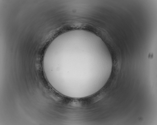 X0000114020416200910231841