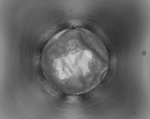 X0000114020417200910231841