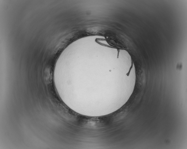 X0000114020420200910231841