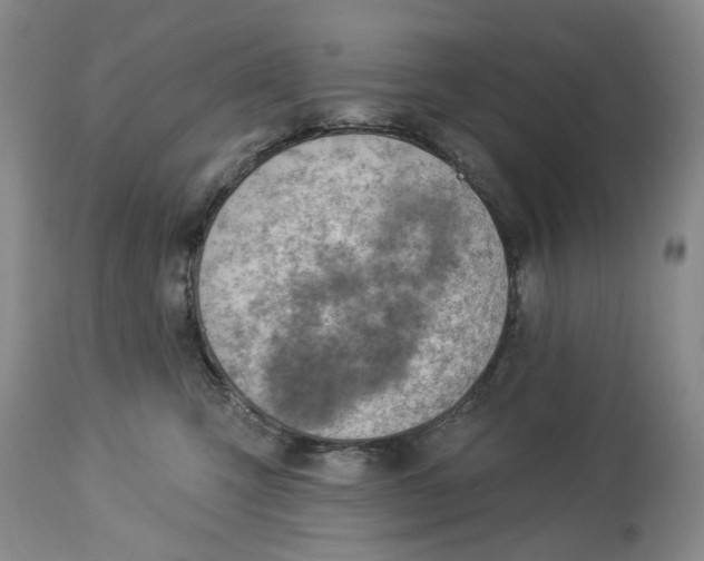 X0000114020423200910231841