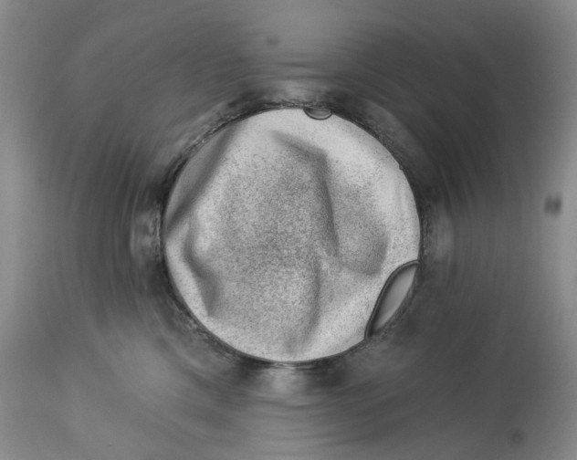 X0000114020425200910231841