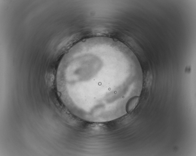 X0000114020427200910231841