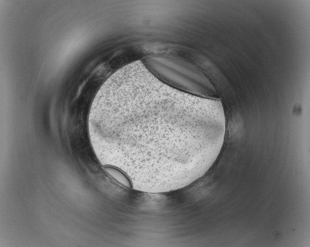 X0000114020429200910231841