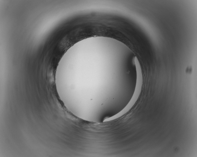 X0000114020431200910231841