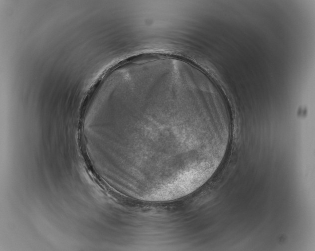 X0000114020434200910231840