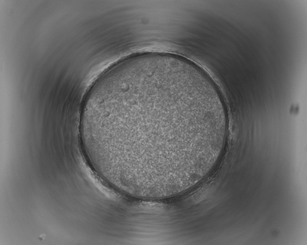 X0000114020437200910231840