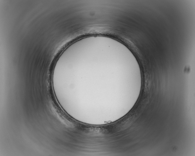 X0000114020439200910231840