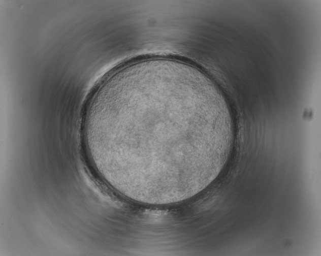 X0000114020440200910231840