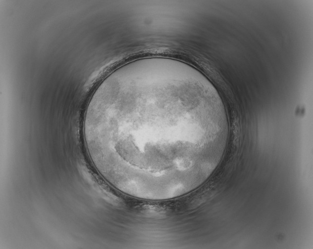 X0000114020442200910231840