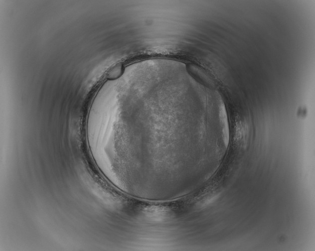 X0000114020444200910231840