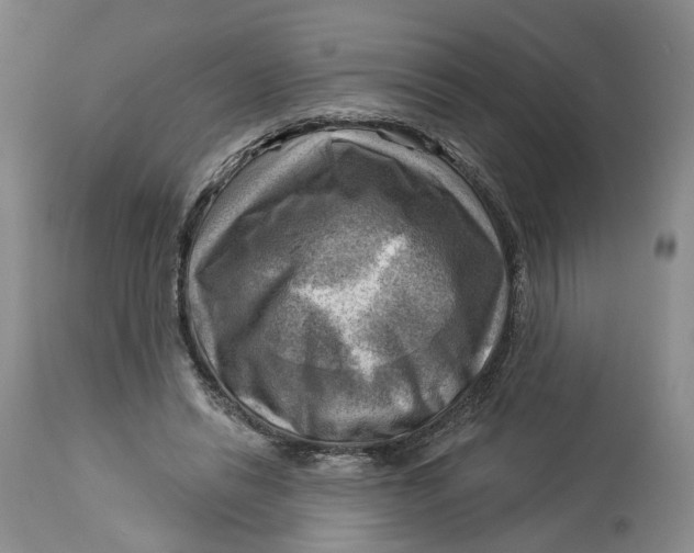 X0000114020446200910231840