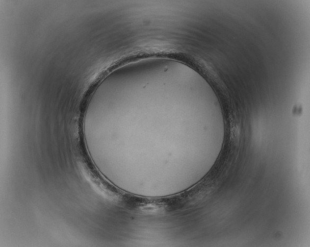 X0000114020447200910231840