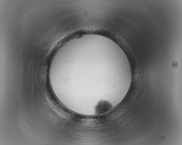 X0000114020448200910231840