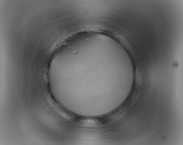 X0000114020449200910231840