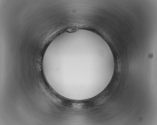 X0000114020450200910231840