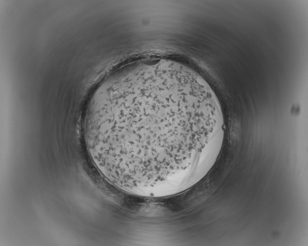 X0000114020451200910231840