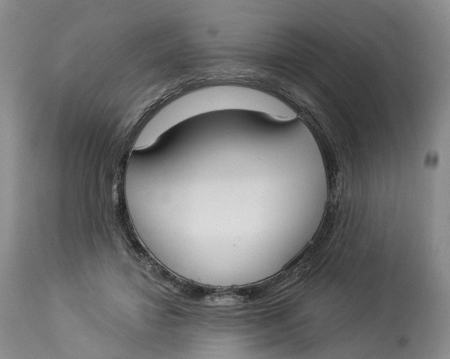 X0000114020452200910231840