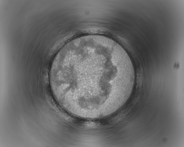 X0000114020453200910231840