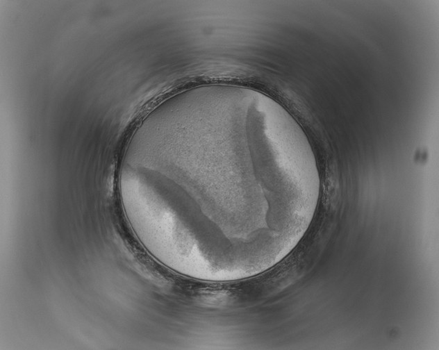 X0000114020454200910231840