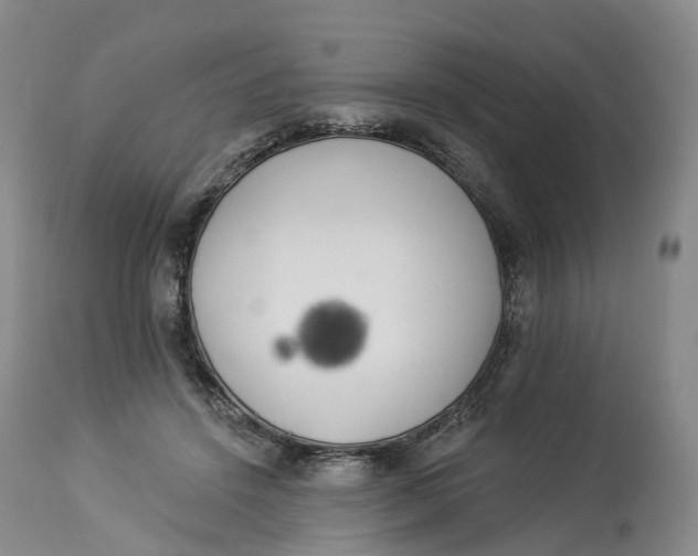 X0000114020456200910231841