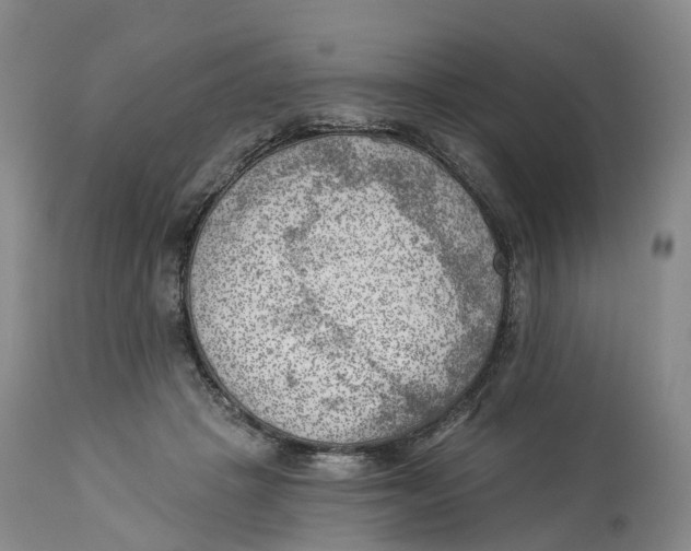 X0000114020457200910231841