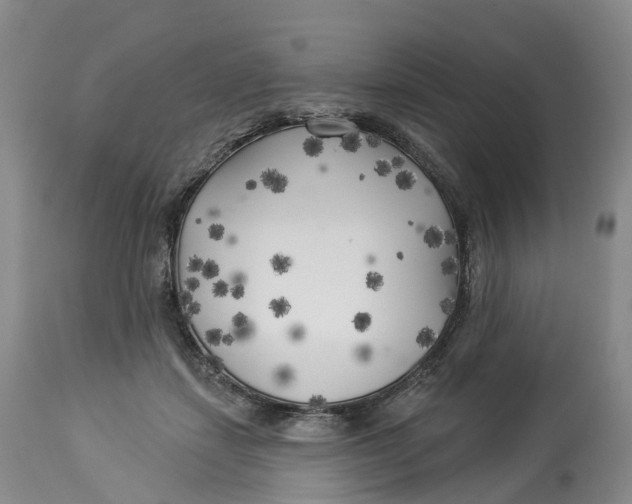 X0000114020459200910231841