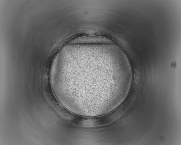 X0000114020461200910231841