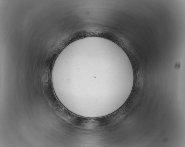 X0000114020463200910231841