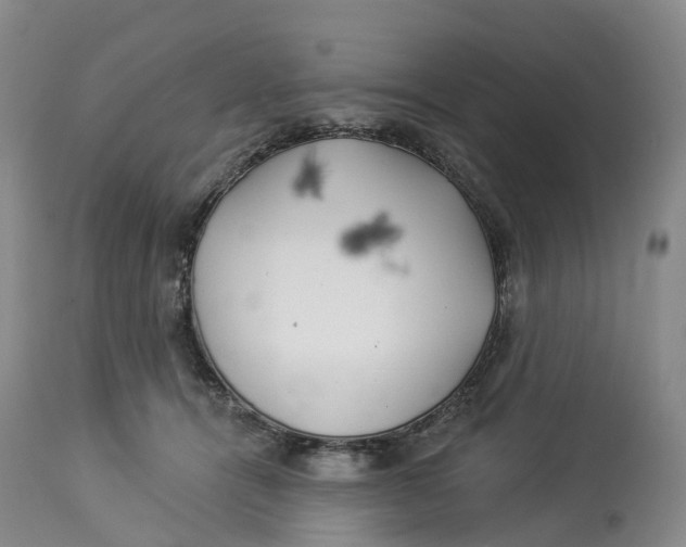 X0000114020464200910231841