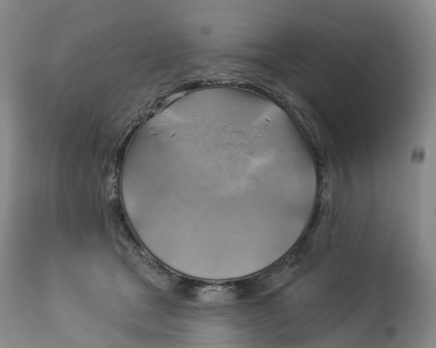 X0000114020465200910231841