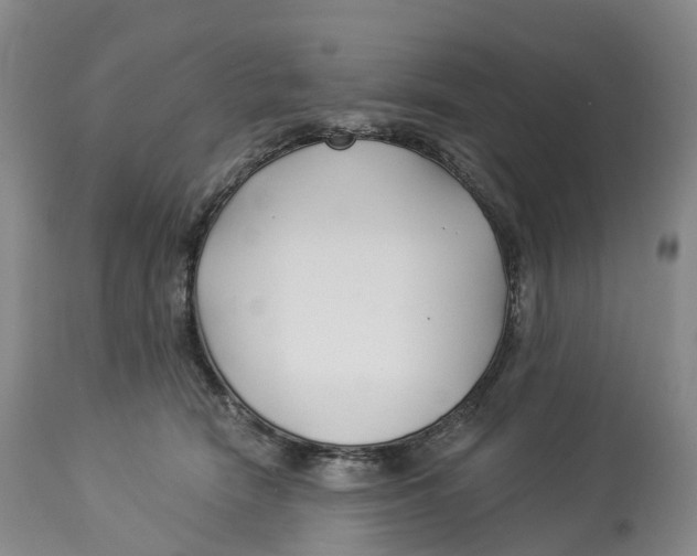 X0000114020466200910231841