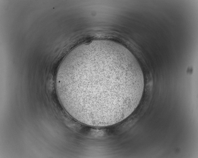 X0000114020469200910231841