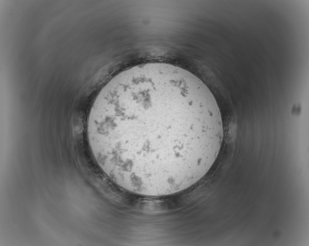 X0000114020472200910231841