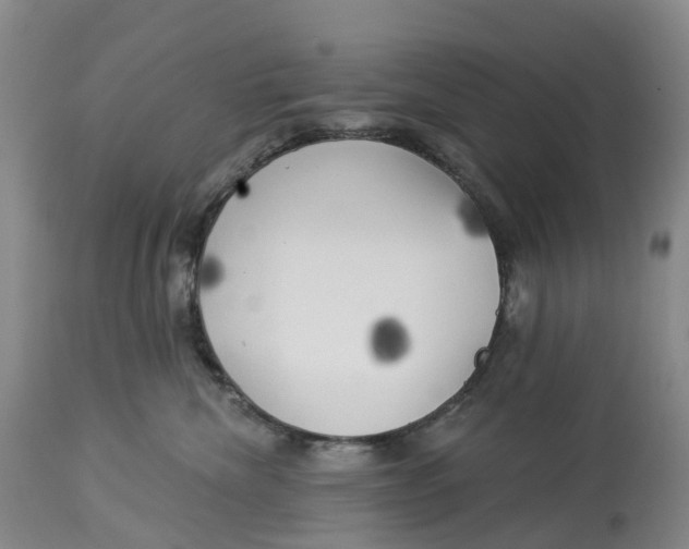 X0000114020476200910231841