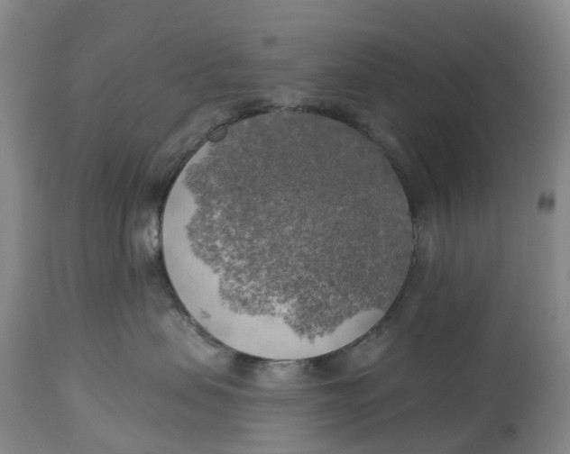 X0000114020479200910231841