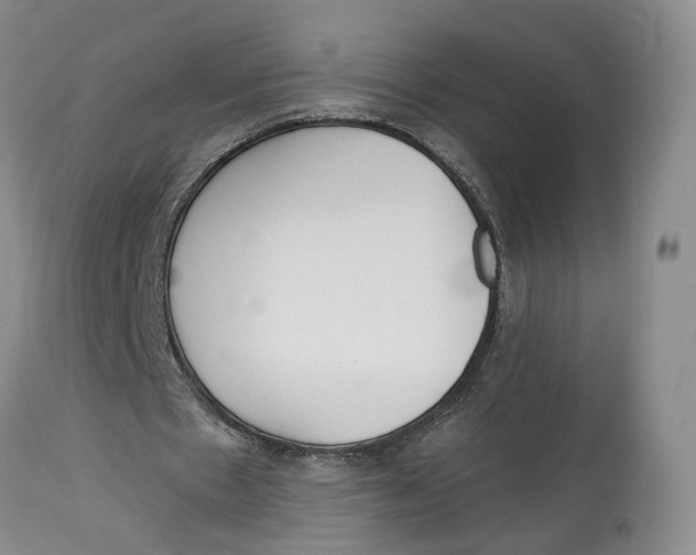 X0000114020481200910231840