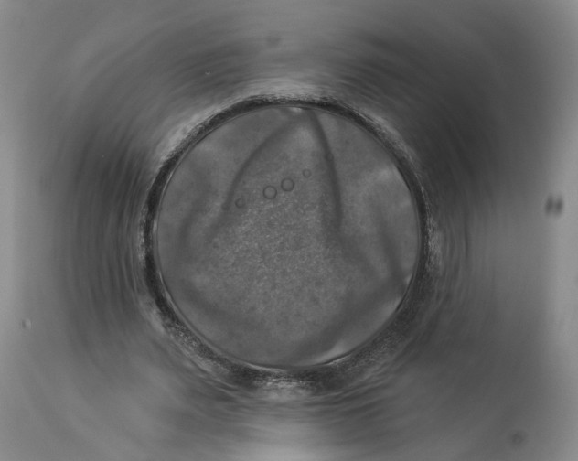 X0000114020487200910231840