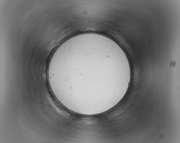 X0000114020489200910231840