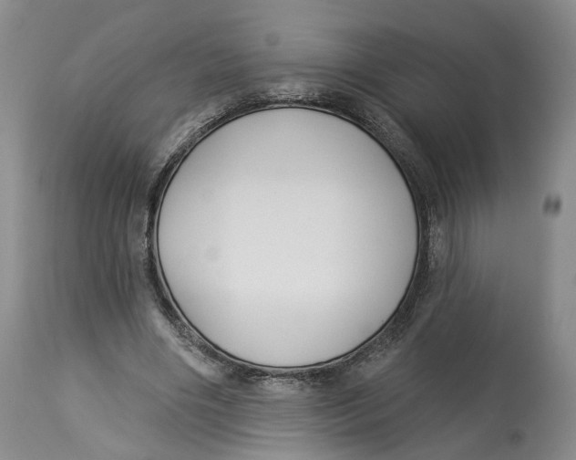 X0000114020490200910231840