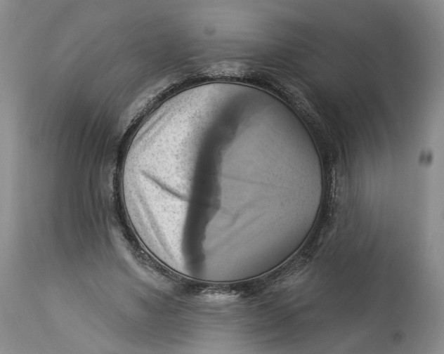 X0000114020491200910231840