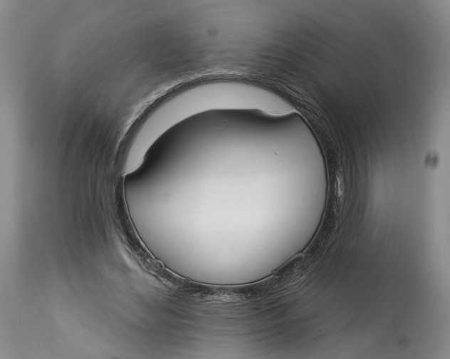 X0000114020492200910231840