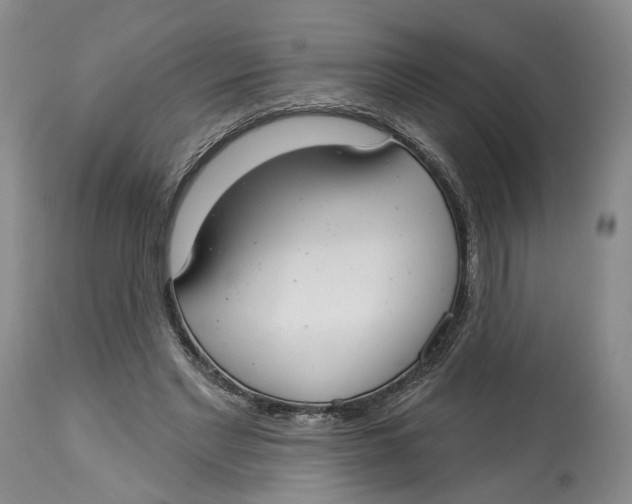 X0000114020493200910231840