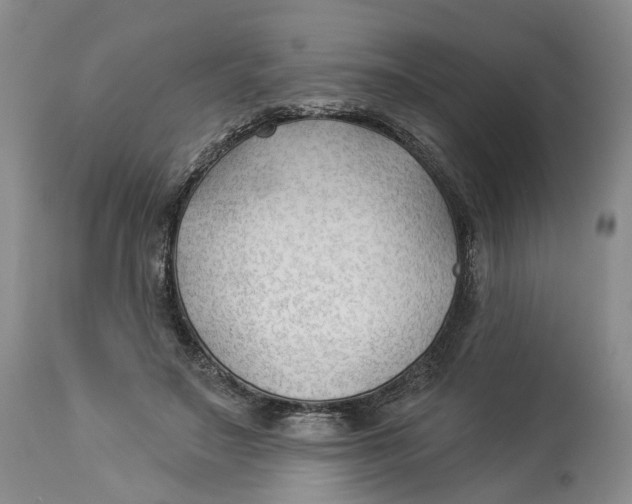 X0000114020499200910231840