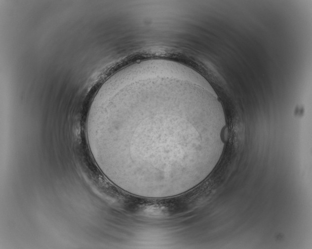 X0000114020500200910231840