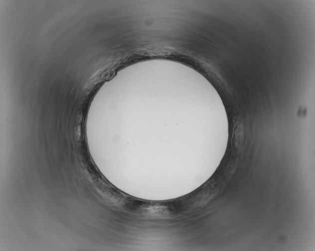 X0000114020501200910231840