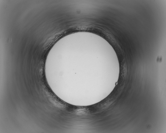 X0000114020505200910231840