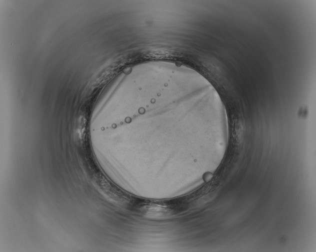 X0000114020507200910231840